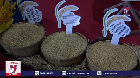 Khai mạc Festival Lúa gạo Việt Nam lần thứ 5