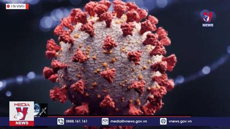 Phát hiện biến thể lai giữa Omicron và Delta