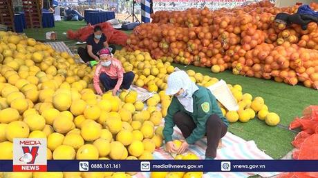 Phú Thọ mở đường xuất khẩu bưởi Đoan Hùng