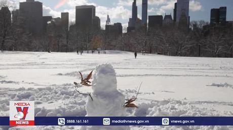 Người dân New York đón tuyết đầu mùa