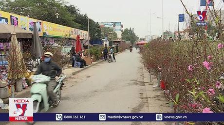 Hà Nội tổ chức 78 điểm chợ hoa xuân phục vụ Tết