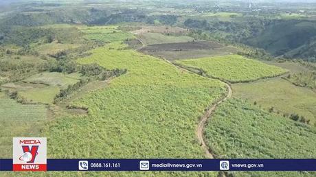 “Biến” đất khó cho mật ngọt