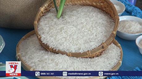 Nhịp cầu quảng bá thương hiệu gạo Việt Nam