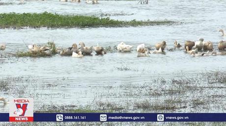 Thi công gây ngập úng phải có trách nhiệm bồi thường cho dân