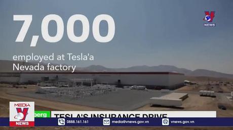 Xu hướng phát triển việc làm xanh