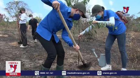 Trồng cây sao đen tại Khu bảo tồn thiên nhiên Tà Cú