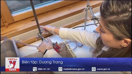 Bí quyết mới tiêu diệt muỗi gây sốt rét