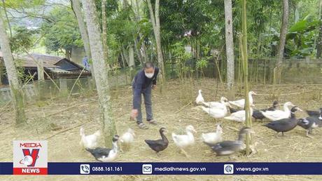 Nỗ lực giảm nghèo tại các huyện miền núi Thanh Hóa