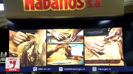 Các nước tăng cường ứng phó với dịch COVID-19