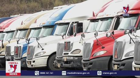 Lạng Sơn tạm dừng tiếp nhận xe hoa quả tươi từ ngày 17/1
