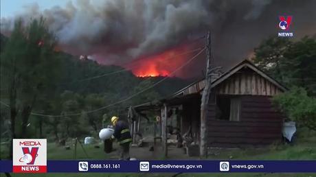 Argentina ban bố tình trạng khẩn cấp về cháy rừng