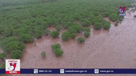 Hưởng ứng Ngày Đất ngập nước thế giới năm 2022