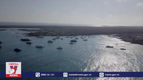 Ecuador thiết lập khu bảo tồn biển lớn thứ hai thế giới