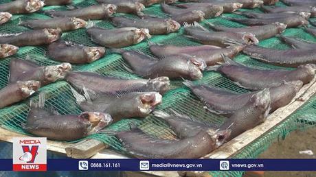 Làng cá khô ở Đồng Tháp rộn ràng trong vụ Tết