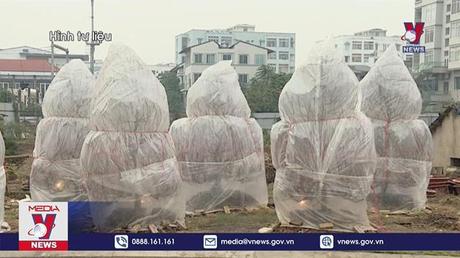 Hà Nội cấm nhiều tuyến phố phục vụ chợ hoa Tết