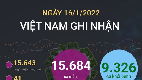 Ngày 16/1: Có 15.684 ca mắc COVID-19; Hà Nội gần 3.000 ca; số tử vong tiếp tục giảm