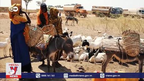 10 người giàu nhất thế giới tăng gấp đôi tài sản trong đại dịch