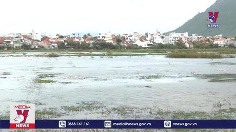 Phú Yên khẩn trương khắc phục úng ngập cho 100 hecta đất