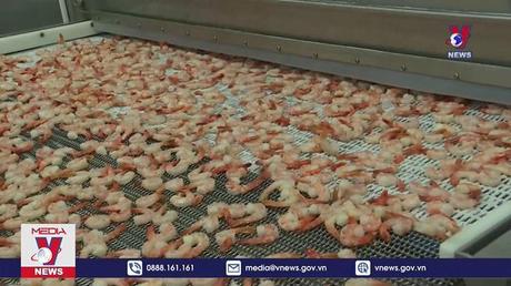 Xuất khẩu tôm sang Mỹ lần đầu vượt mốc 1 tỷ USD