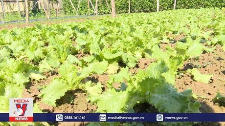 Mô hình nông thôn mới kiểu mẫu ở Quảng Ngãi