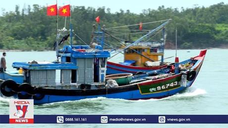 Ngư dân Quảng Ngãi hối hả ra khơi phiên biển cuối năm