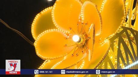 Đường phố TP.HCM lung linh sắc xuân