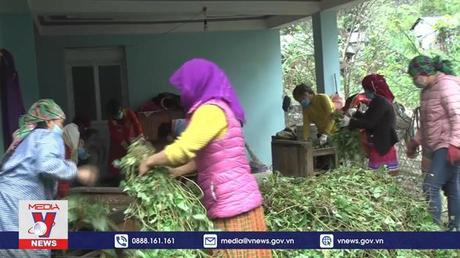 Chính sách mới hỗ trợ đồng bào dân tộc thiểu số vùng cao