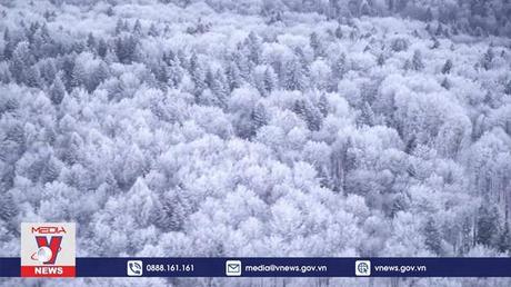 Ba Lan xây dựng bức tường biên giới với Belarus