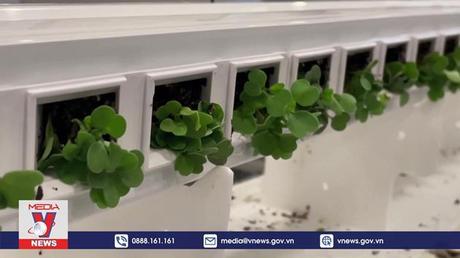 Walmart đầu tư lớn vào hệ thống nông trang tương lai