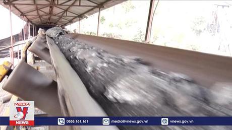 Chuyển đổi kinh tế theo hướng phát thải ròng bằng 0