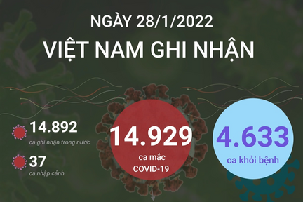 Ngày 28/1: Có 14.929 ca COVID-19, Hà Nội vẫn nhiều nhất, tiếp đến là Bắc Ninh