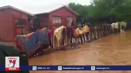 Lũ lụt nghiêm trọng tại Bolivia