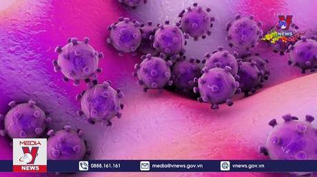 Điều cần biết về biến thể mới “Omicron BA.2”