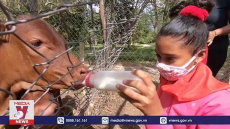 Liệu pháp chăm sóc tinh thần bằng động vật quý hiếm