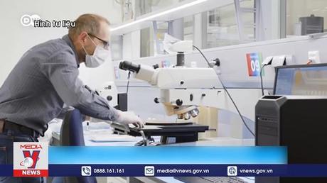 EU thúc đẩy ngành công nghiệp chip