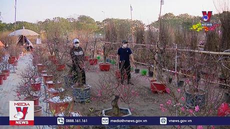 Đón Tết mùa dịch