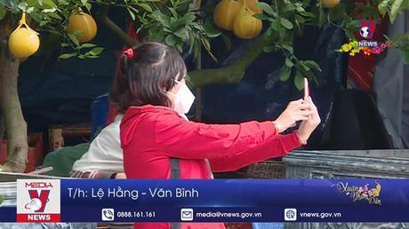 Niềm vui kiều bào về quê đón Tết