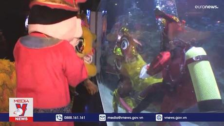 Múa sư tử dưới thủy cung mừng Tết Nguyên đán