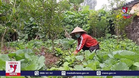 BHXH tự nguyện - san sẻ gánh nặng  khi tuổi già