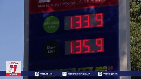 IEA dự báo nhu cầu khí đốt sẽ giảm mạnh ở châu Âu