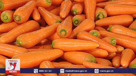 Xuất khẩu nông sản có nhiều tín hiệu lạc quan