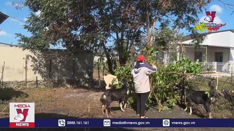 Quỹ đảng viên tiết kiệm làm theo tấm gương đạo đức Hồ Chí Minh