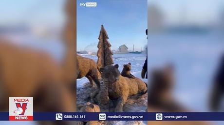 Tác phẩm “gia đình hổ” độc đáo của nghệ nhân Nga