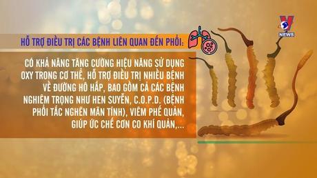 Góc nhìn VNews 02/02/2022: Khát vọng thương hiệu đông trùng hạ thảo Việt