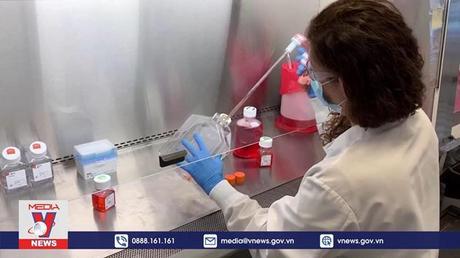 Tìm ra kháng thể mới có thể vô hiệu hóa Omicron