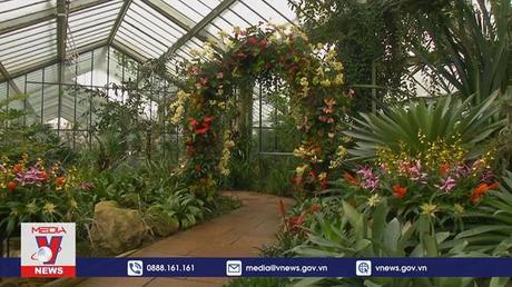 Rực rỡ lễ hội hoa lan ở London, Anh