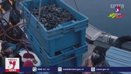 Mỹ và EU nhất trí nối lại hoạt động xuất nhập khẩu hải sản thân mềm