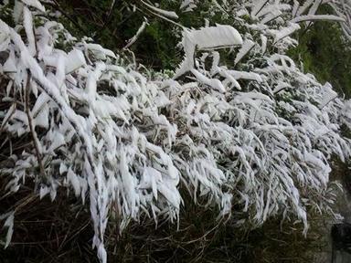 Miền Bắc đón không khí lạnh, trời rét đậm, rét hại