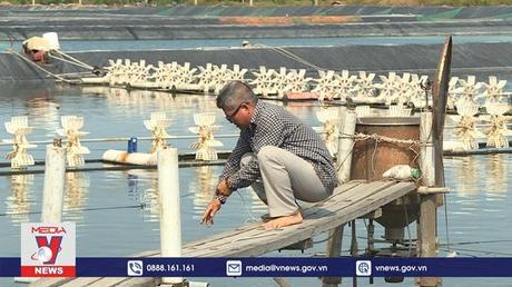 Dấu ấn Nông nghiệp đô thị