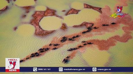 Tác giả Việt đoạt giải nhất ảnh du lịch thế giới